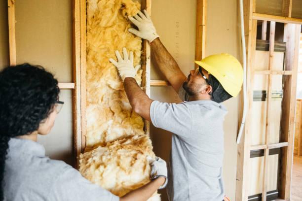 Best Local Insulation Services  in Covelo, CA